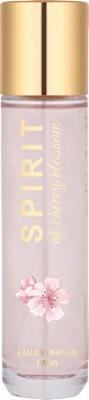 Spirit cherry blossom